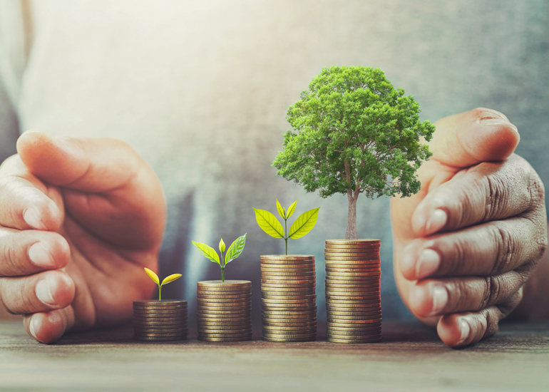 Stack of coins and small tree